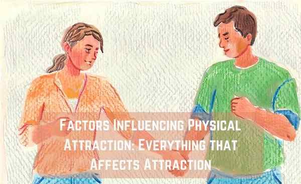 Factors Influencing Physical Attraction: Everything that Affects Attraction